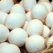 Huevos blancos